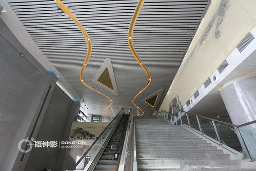 蒼南高鐵站充電樁銷售現場紀實 機動車充電新趨勢初現